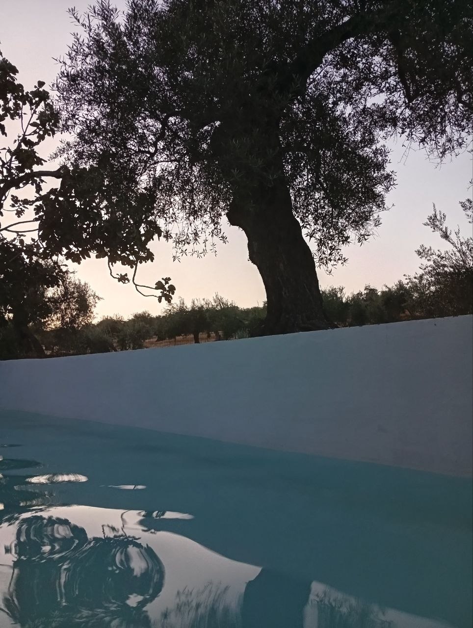 Anochecer en la alberca