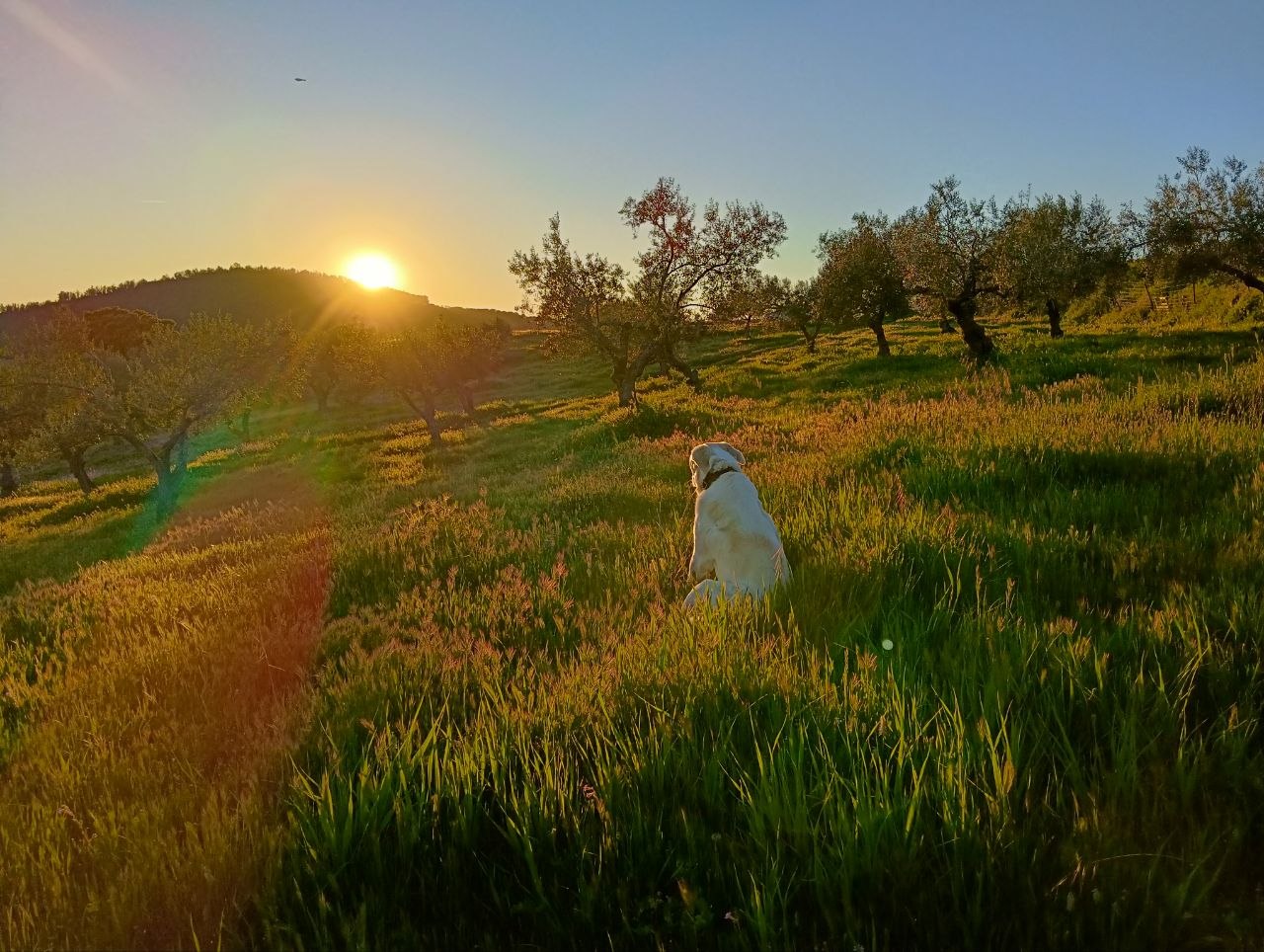 Atardecer en la Candela (sin filtros).