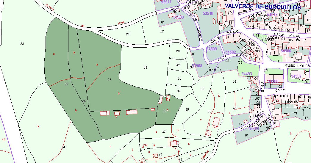 La Candela se prepara para crecer