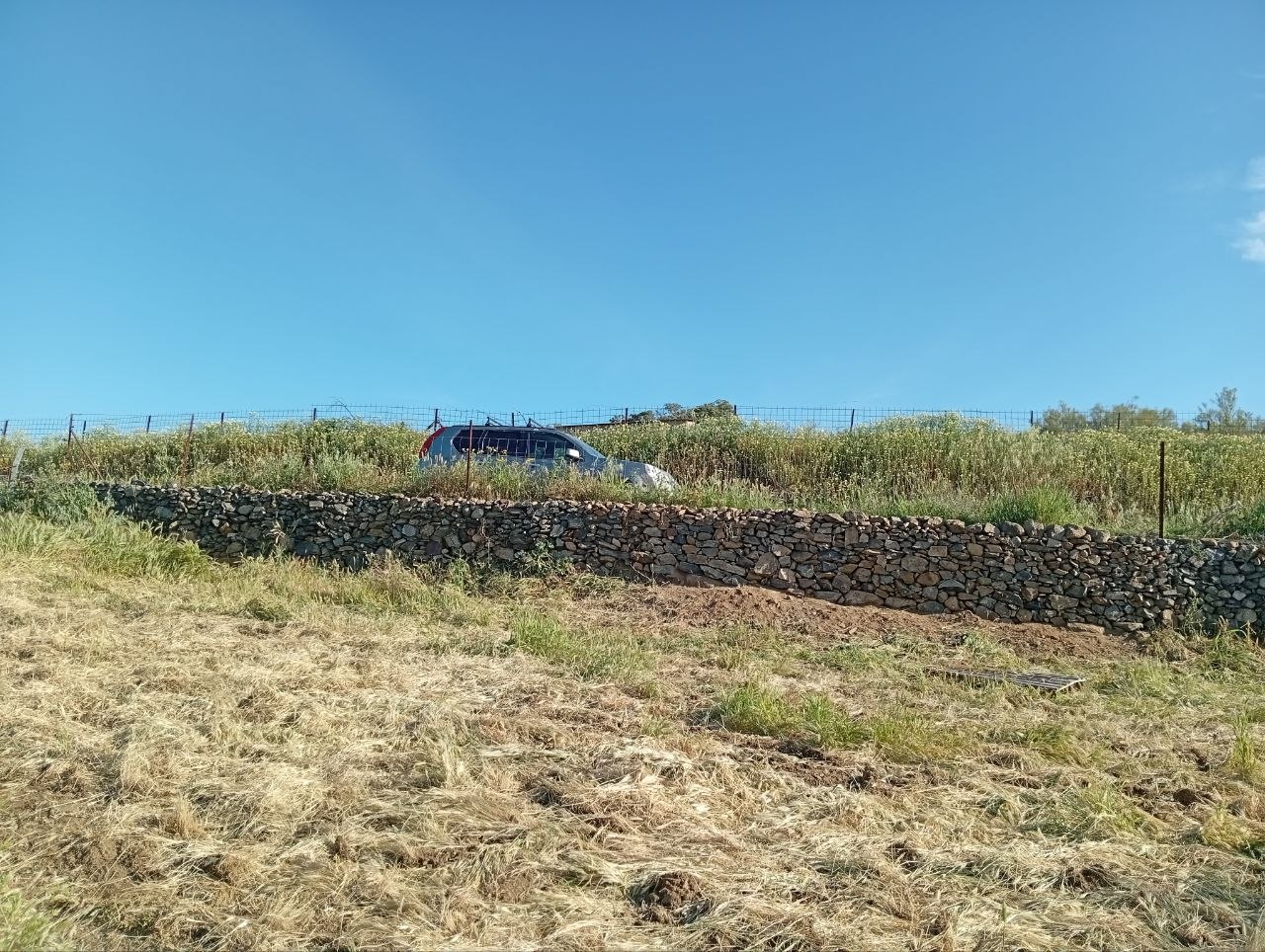 piedra seca, dehesa viva