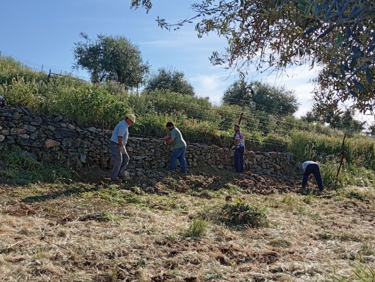 Taller de Piedra Seca