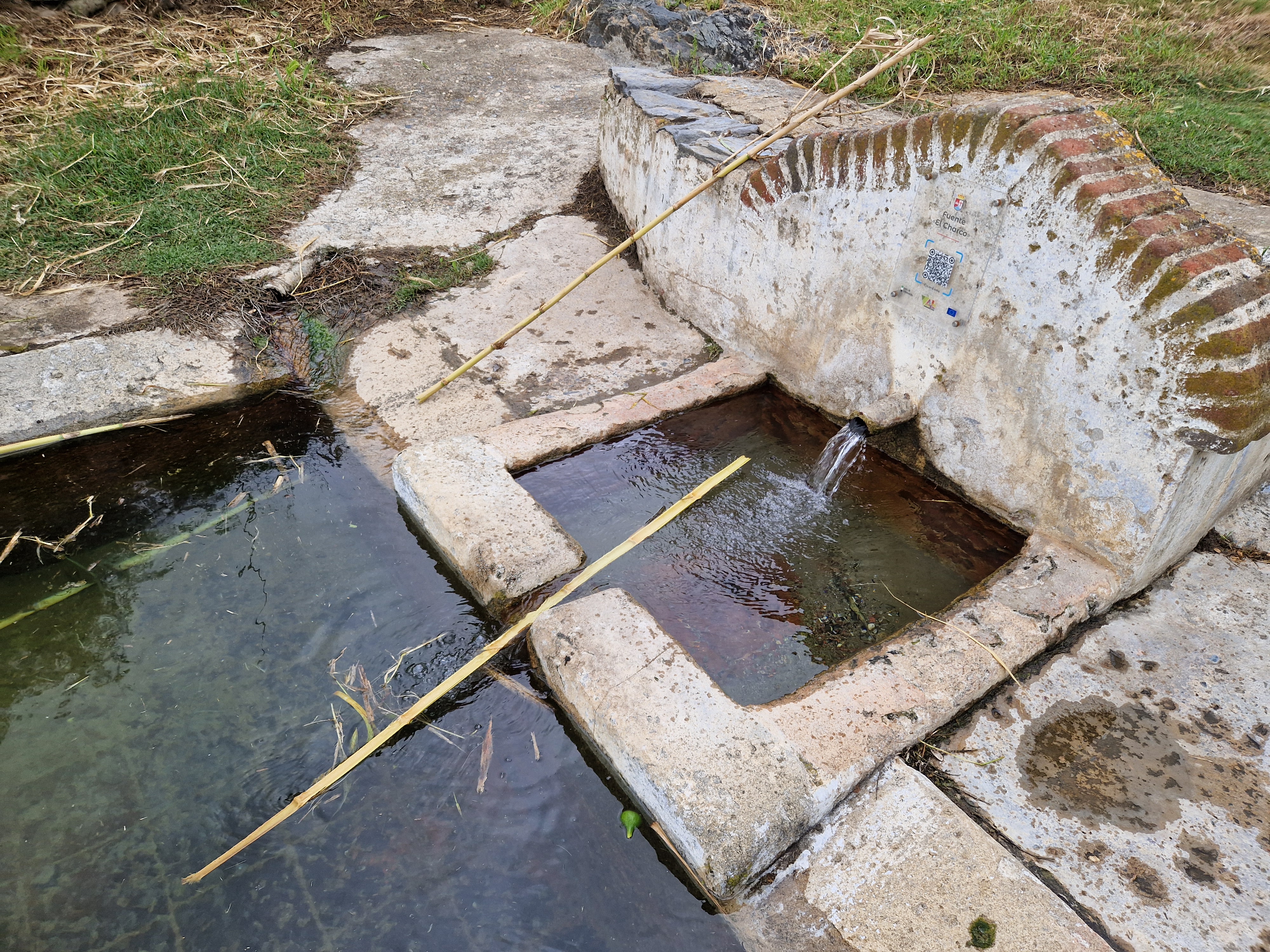 El charco